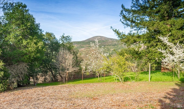 view of yard featuring a mountain view