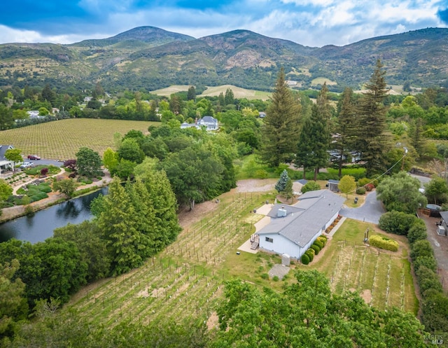 drone / aerial view with a mountain view and a rural view