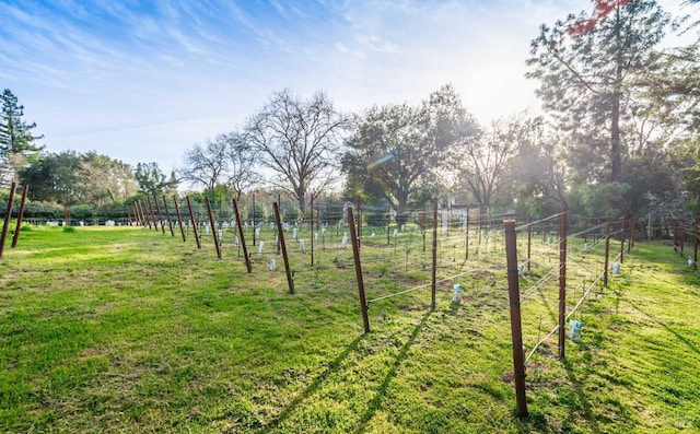 view of yard with fence