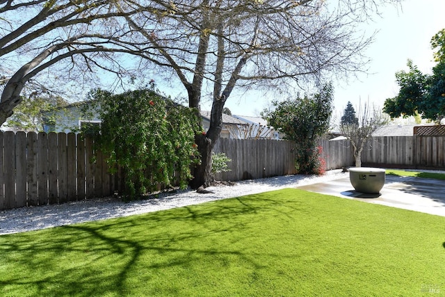 view of yard with a patio and a fenced backyard