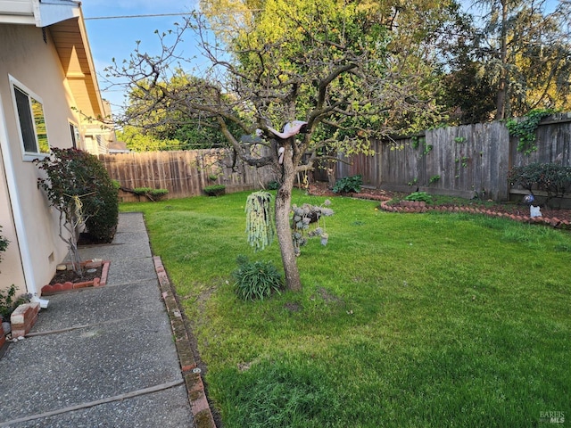 view of yard with a fenced backyard