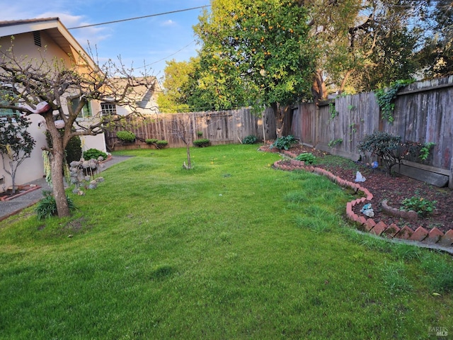 view of yard with a fenced backyard