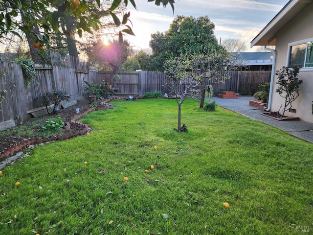 view of yard with a fenced backyard