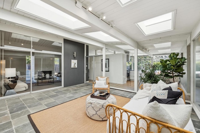 living area featuring track lighting, a healthy amount of sunlight, and a skylight