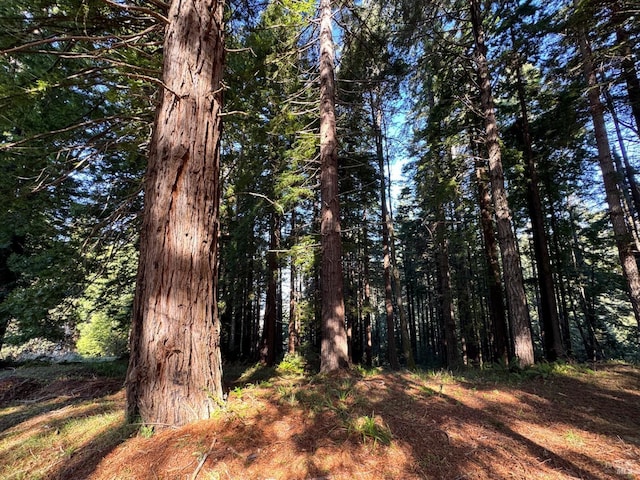 view of nature featuring a forest view