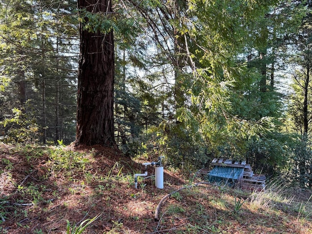 view of yard with a wooded view