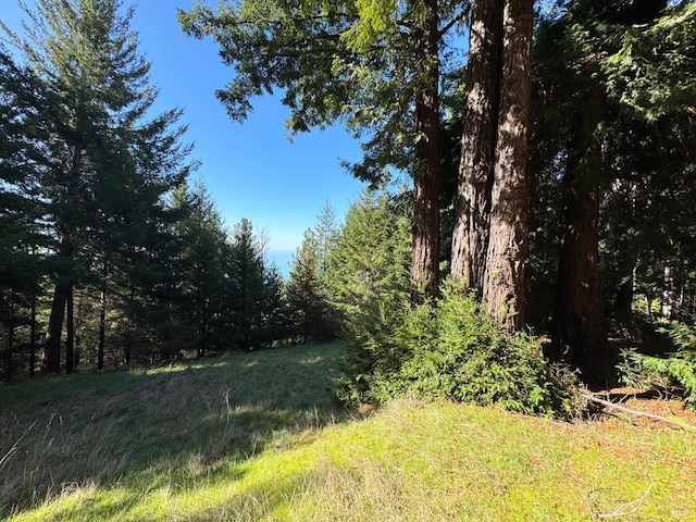 view of landscape featuring a view of trees