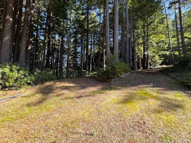 view of landscape with a wooded view