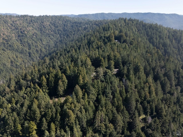 aerial view featuring a mountain view and a forest view