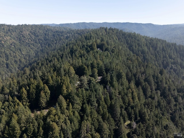 bird's eye view with a mountain view and a forest view