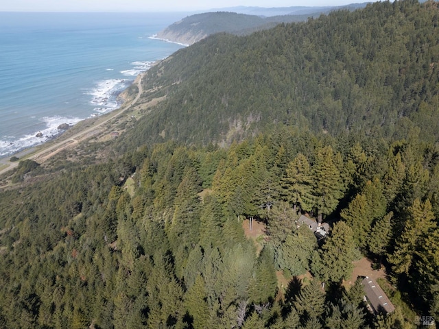 drone / aerial view featuring a forest view and a water view