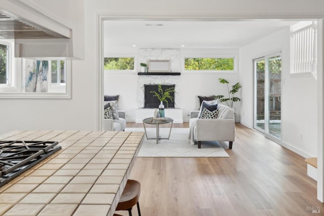 living area featuring baseboards, wood finished floors, and a high end fireplace