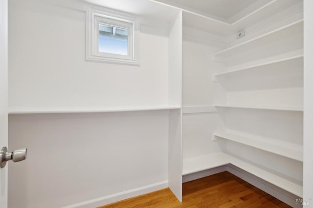 spacious closet with wood finished floors