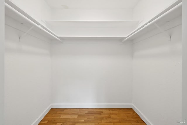 spacious closet featuring light wood-type flooring