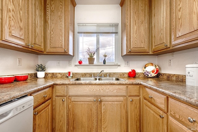 kitchen with a sink and white dishwasher