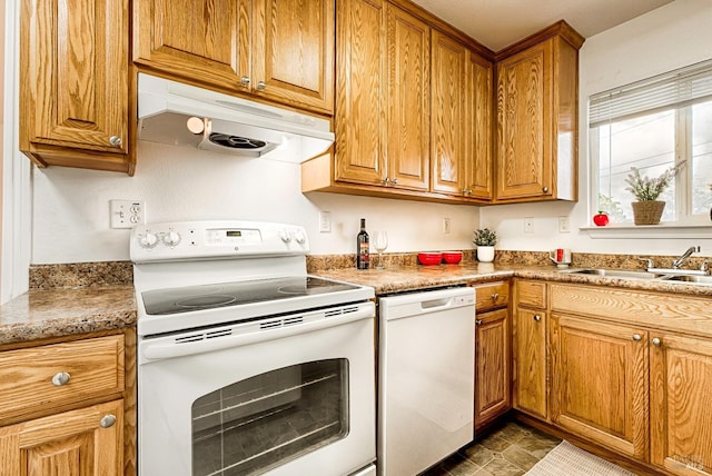 kitchen featuring white appliances, brown cabinetry, under cabinet range hood, and a sink