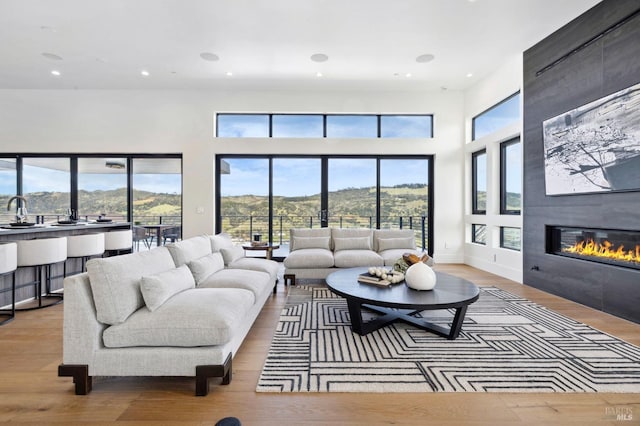 living area with a fireplace, wood finished floors, and a mountain view