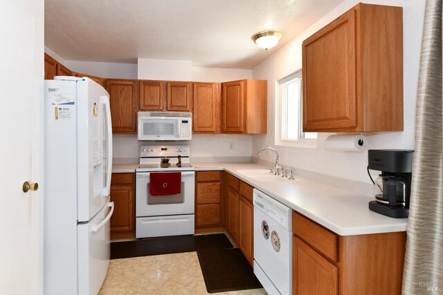 kitchen with a sink, white appliances, brown cabinets, and light countertops