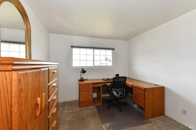 carpeted home office featuring plenty of natural light