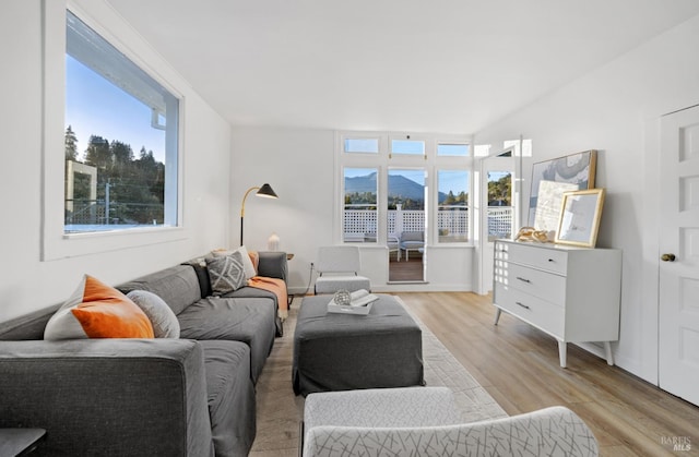 living area featuring light wood-style floors and a wealth of natural light