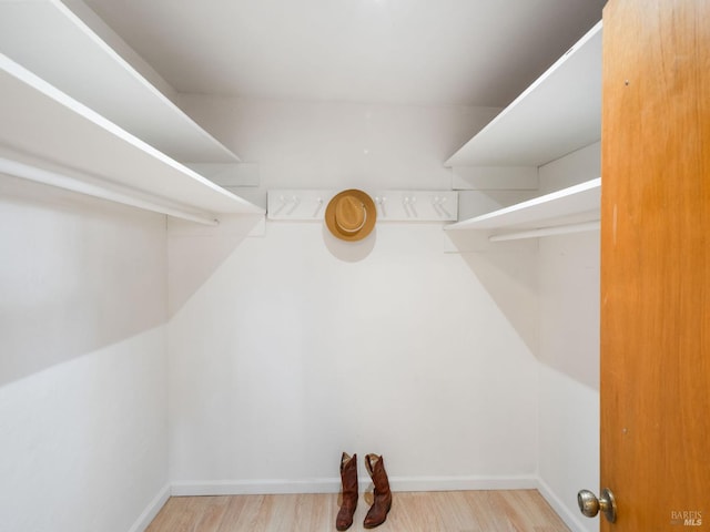 spacious closet featuring wood finished floors