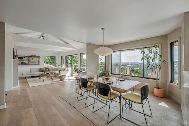 dining space featuring baseboards, a healthy amount of sunlight, and light wood-style flooring