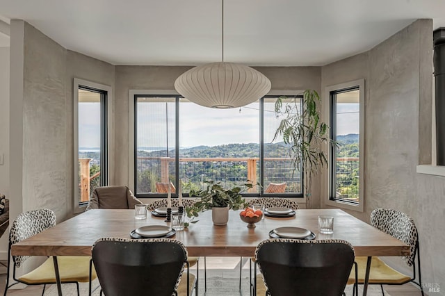 view of dining space