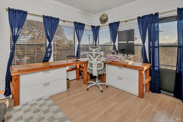 office with light wood-style floors