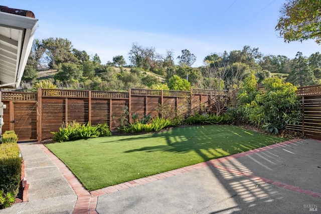 view of yard featuring a patio and a fenced backyard