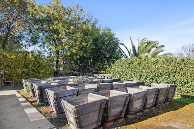 view of patio / terrace with a vegetable garden