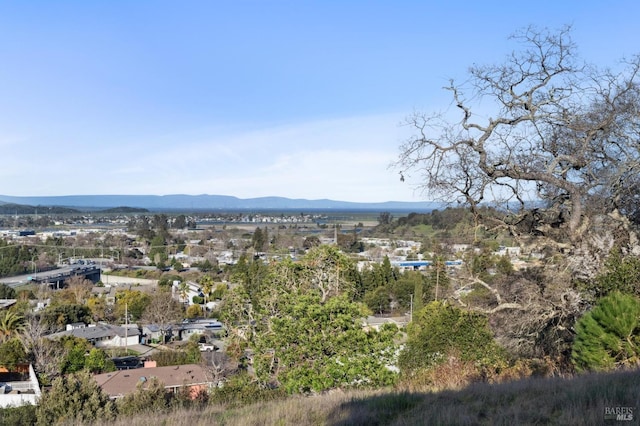 aerial view with a mountain view