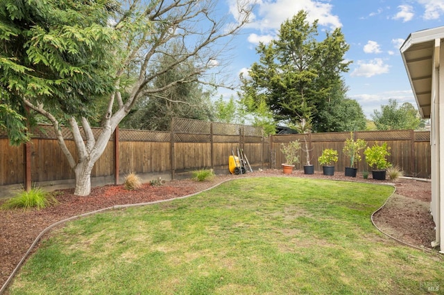 view of yard featuring a fenced backyard