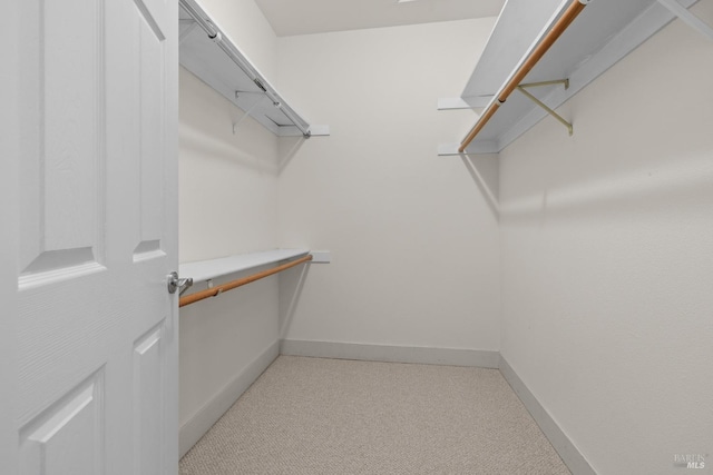 walk in closet with light carpet