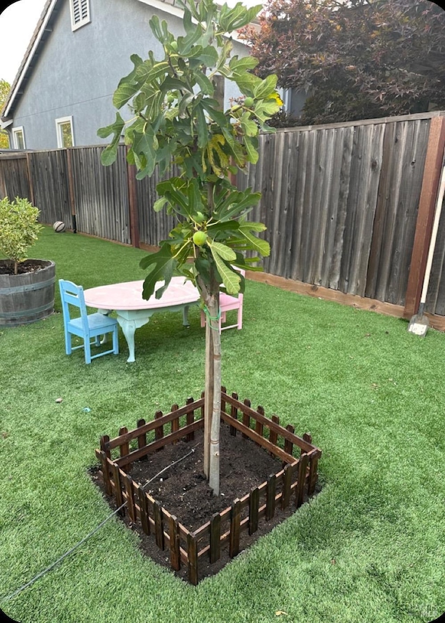 view of yard with a fenced backyard