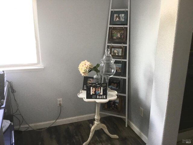 details with baseboards and wood finished floors