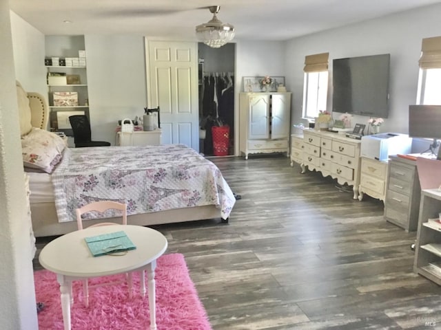 bedroom featuring wood finished floors and multiple windows
