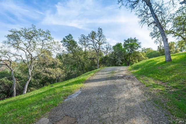 1081 Steele Canyon Rd, Napa, CA 94558 - view of street featuring a wooded view
