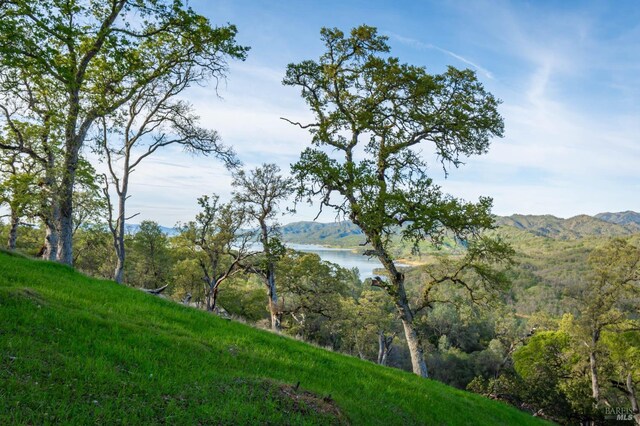 1081 Steele Canyon Rd, Napa, CA 94558 - mountain view with a large body of water