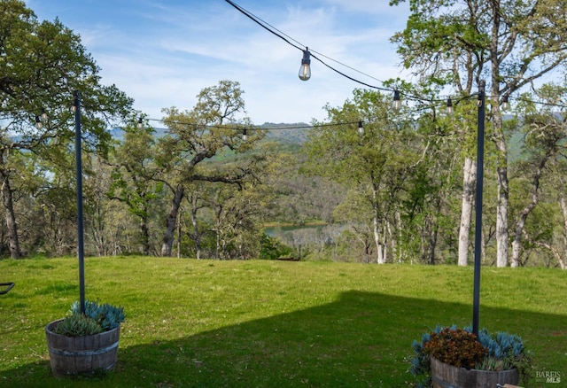 1081 Steele Canyon Rd, Napa, CA 94558 - view of green lawn