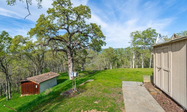 view of yard with an outbuilding, a wooded view, and a shed