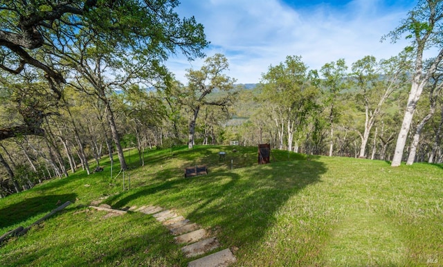 view of yard with a wooded view