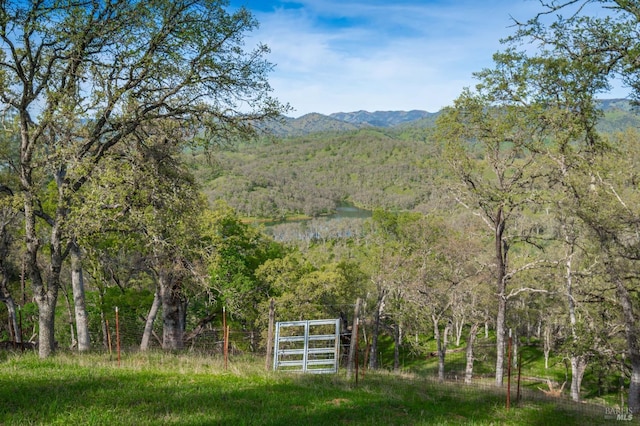 property view of mountains featuring a forest view and a water view