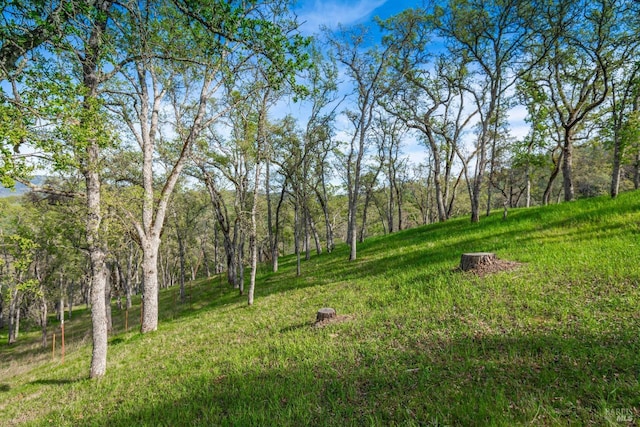 1081 Steele Canyon Rd, Napa, CA 94558 - view of yard
