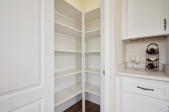 view of pantry