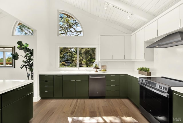 kitchen featuring light countertops, appliances with stainless steel finishes, green cabinetry, wooden ceiling, and wood finished floors