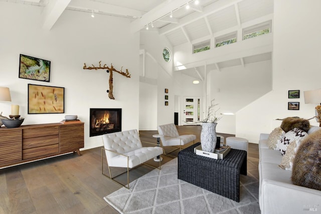 living room with beamed ceiling, high vaulted ceiling, a glass covered fireplace, wood finished floors, and rail lighting