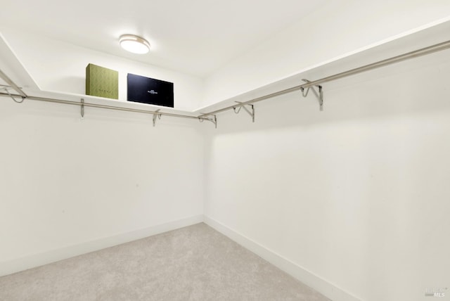 walk in closet with light colored carpet