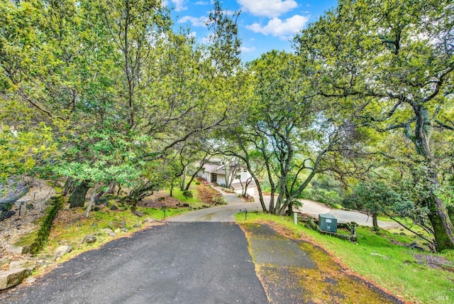 view of street with driveway