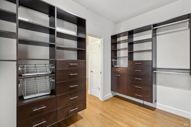 spacious closet featuring light wood-style floors