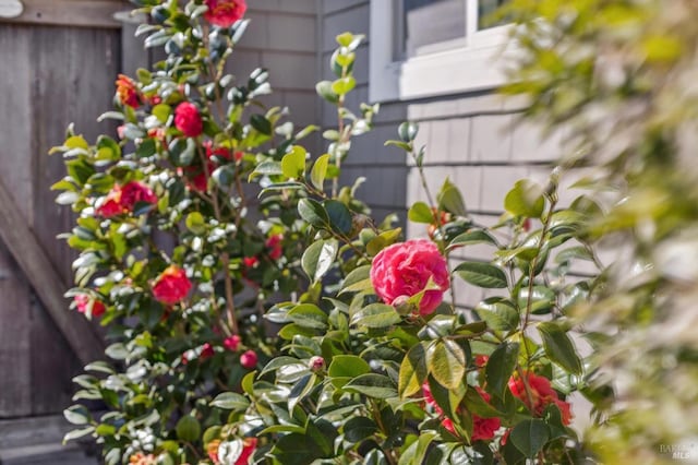 exterior details with fence